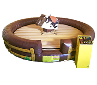 Rent Fun Mechanical Bulls for Kids Parties in Roswell
