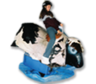High Quality Kids Party Mechanical Bulls in Mission