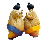 Professional Grade Sumo Suits for Kids in Springlake